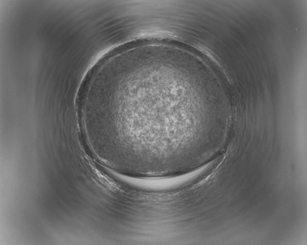 X0000055991022200509092014