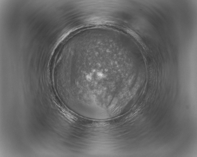 X0000055991023200509092014