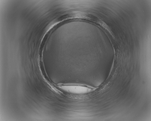 X0000055991024200509092014