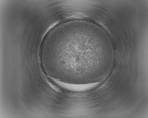 X0000055991026200509092014