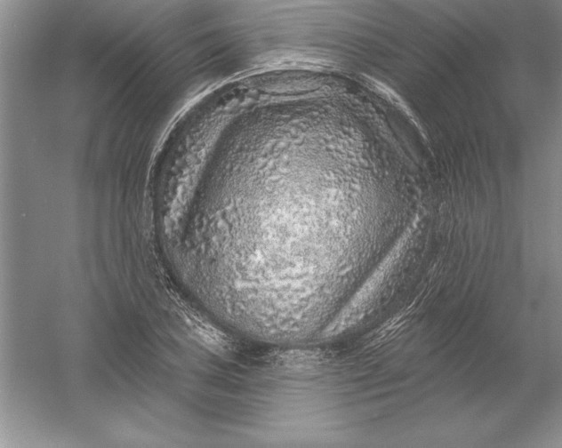 X0000055991027200509092014