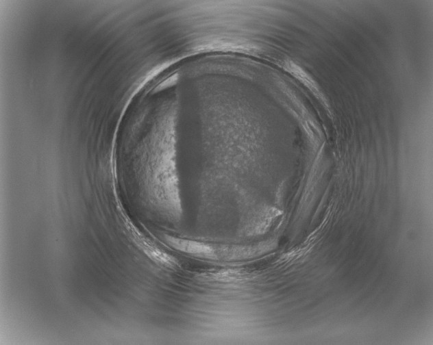 X0000055991028200509092014