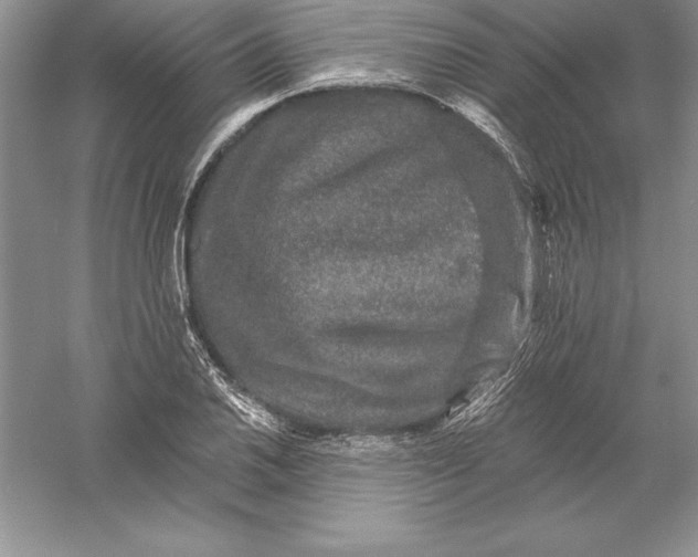 X0000055991030200509092014