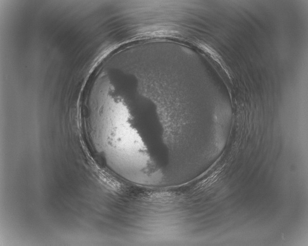 X0000055991031200509092014