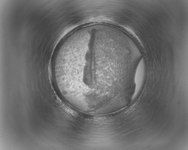 X0000055991032200509092014