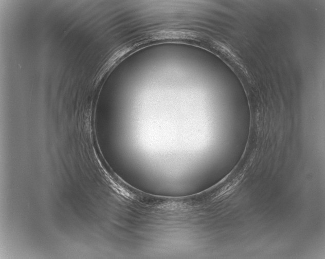 X0000055991033200509092014