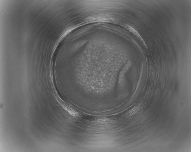 X0000055991035200509092014