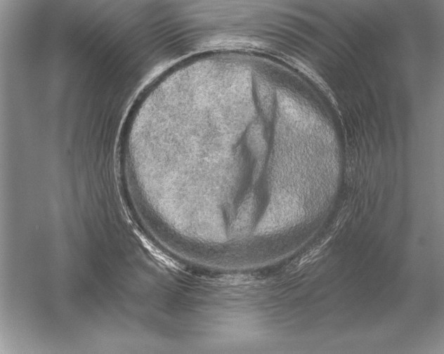 X0000055991037200509092014