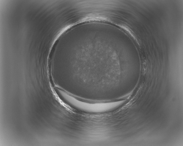 X0000055991038200509092014