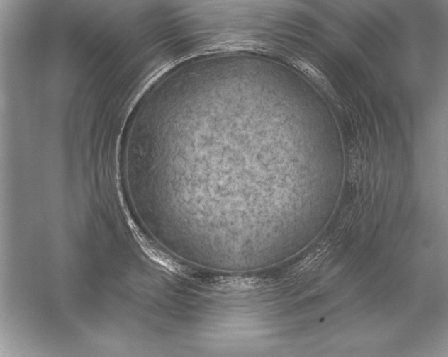 X0000055991039200509092014