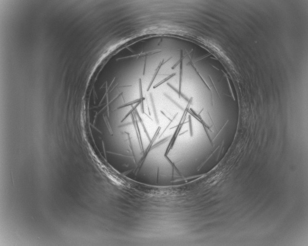 X0000055991040200509092014