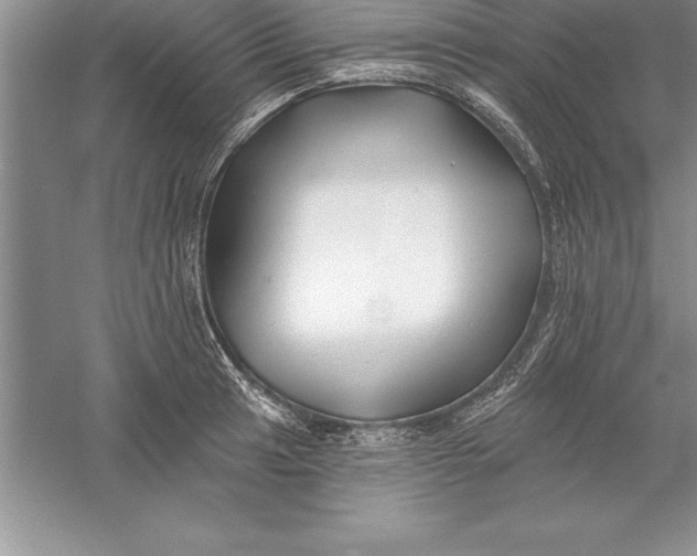 X0000055991041200509092014