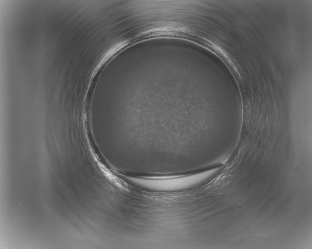 X0000055991042200509092014