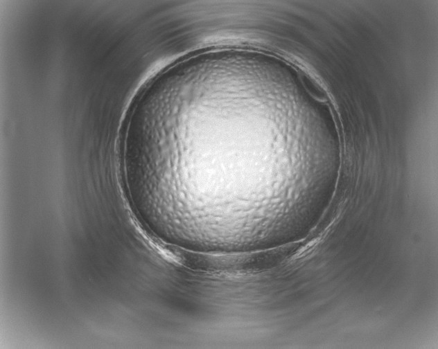 X0000055991045200509092014