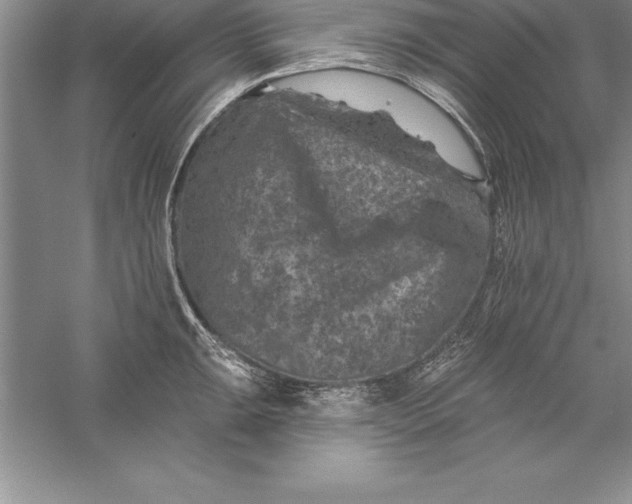 X0000055991047200509092014