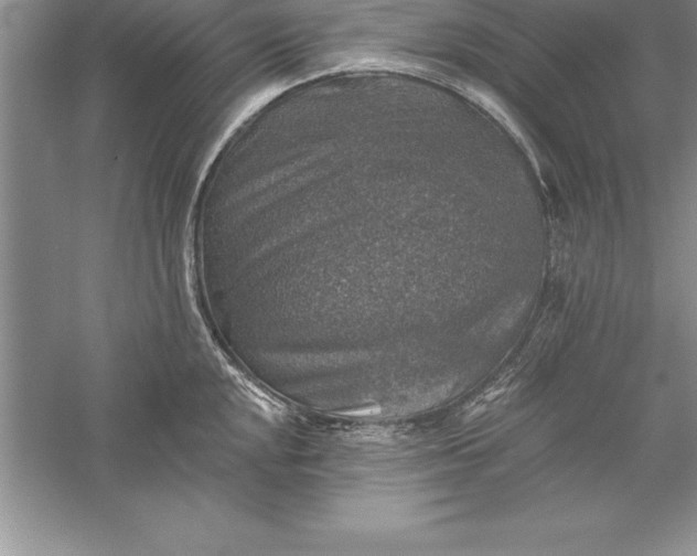 X0000055991048200509092014