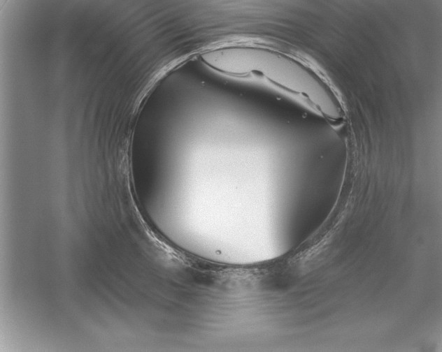 X0000055991049200509092014