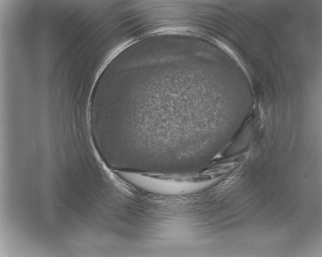 X0000055991050200509092014