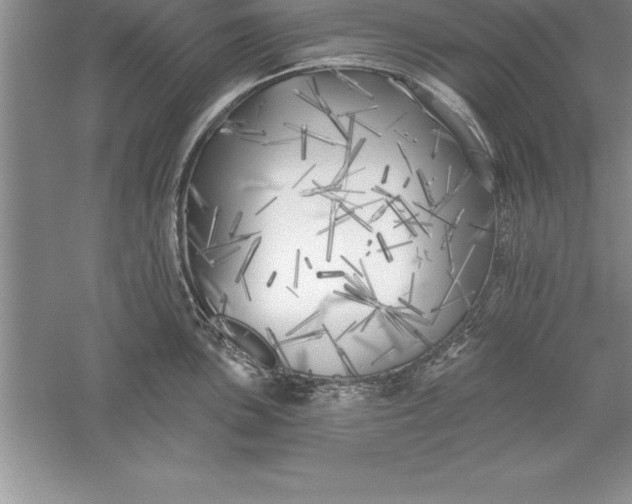 X0000055991051200509092014