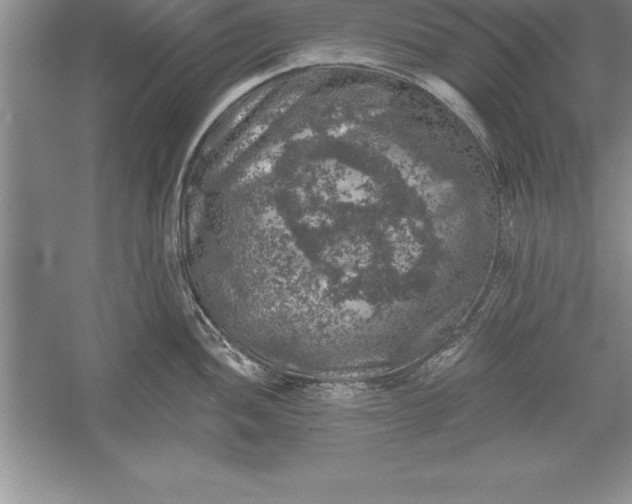 X0000055991052200509092014