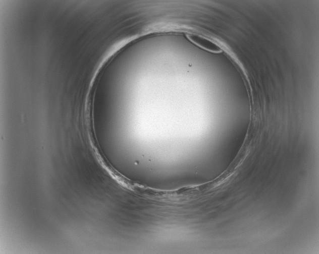 X0000055991053200509092014