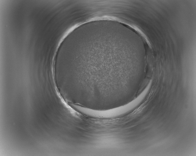 X0000055991054200509092014