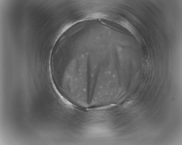 X0000055991055200509092014