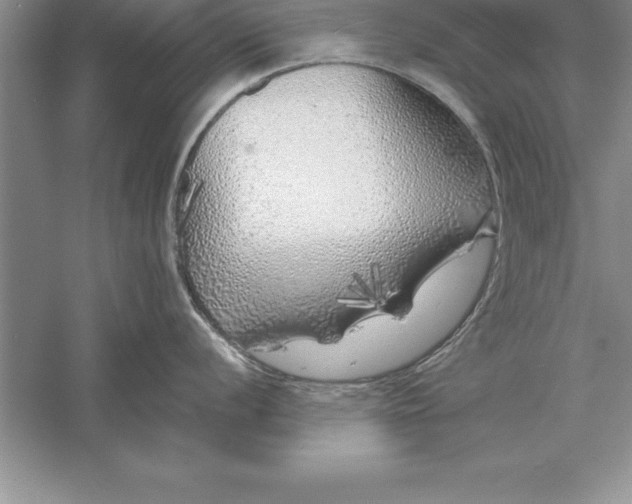 X0000055991056200509092014