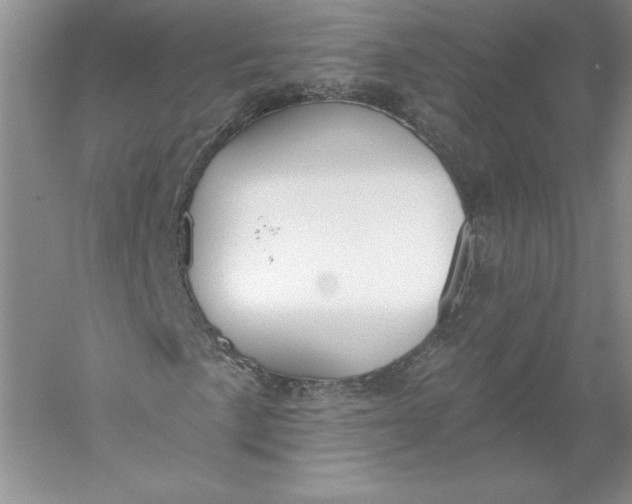 X0000055991057200509092013