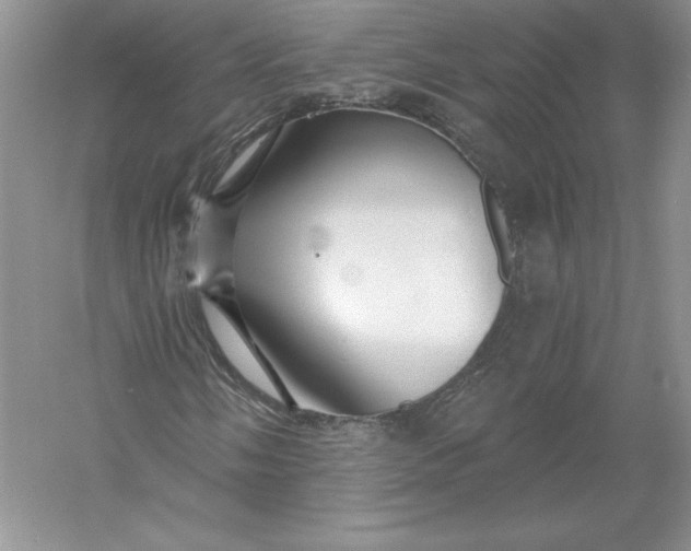 X0000055991058200509092013