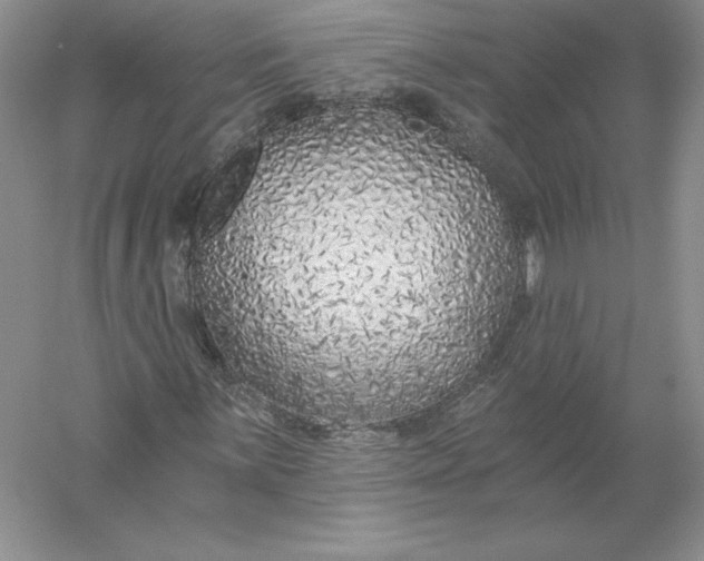 X0000055991059200509092013