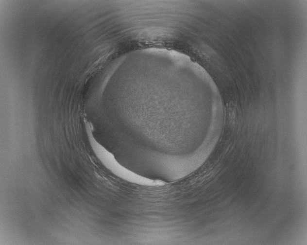 X0000055991060200509092013