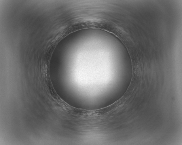 X0000055991061200509092013