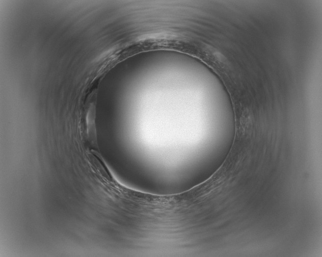 X0000055991062200509092013