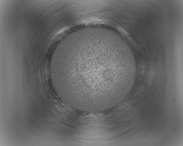 X0000055991063200509092013