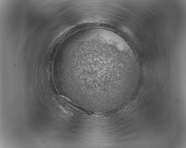 X0000055991064200509092013