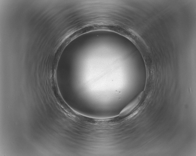 X0000055991065200509092013