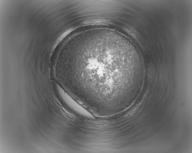 X0000055991066200509092013