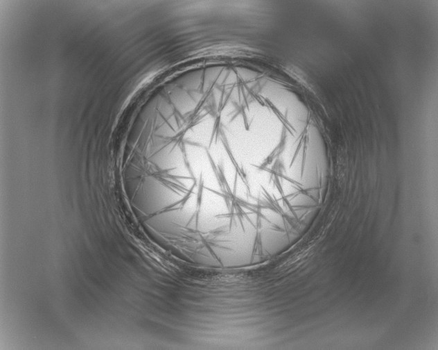 X0000055991067200509092013