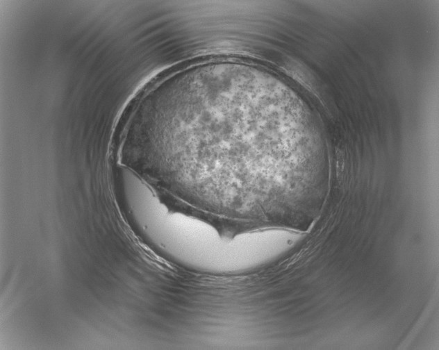 X0000055991068200509092013