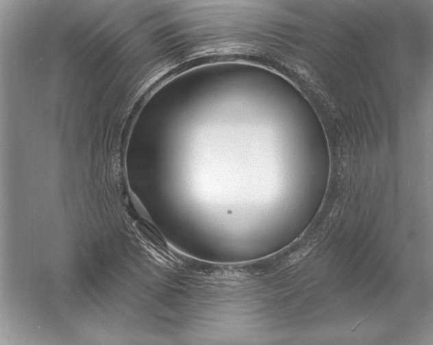 X0000055991073200509092013