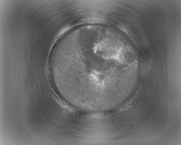 X0000055991074200509092013