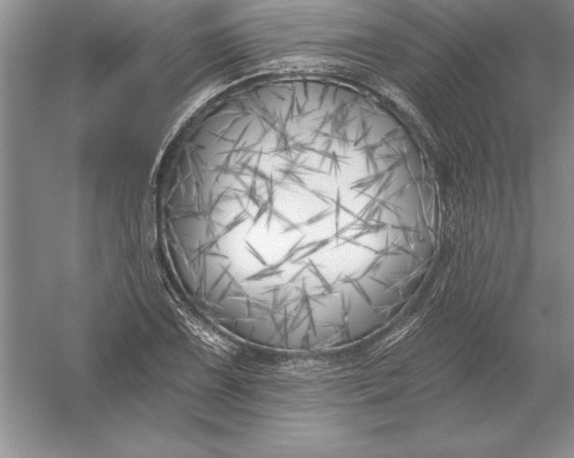 X0000055991075200509092013