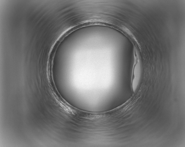 X0000055991076200509092013