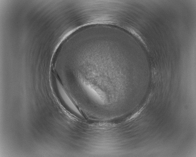 X0000055991077200509092013