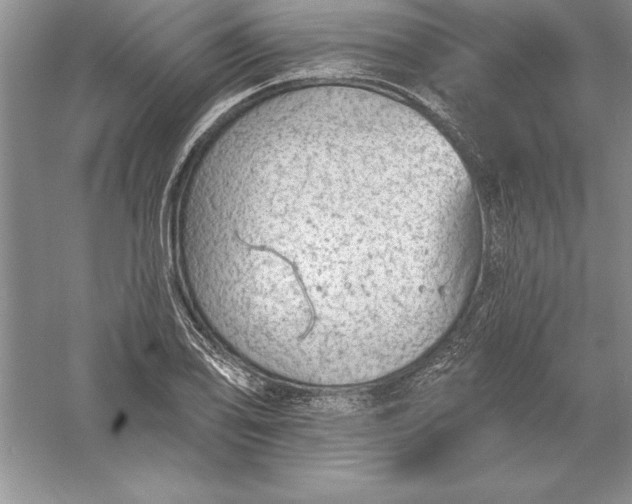 X0000055991078200509092013