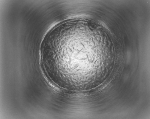 X0000055991079200509092013