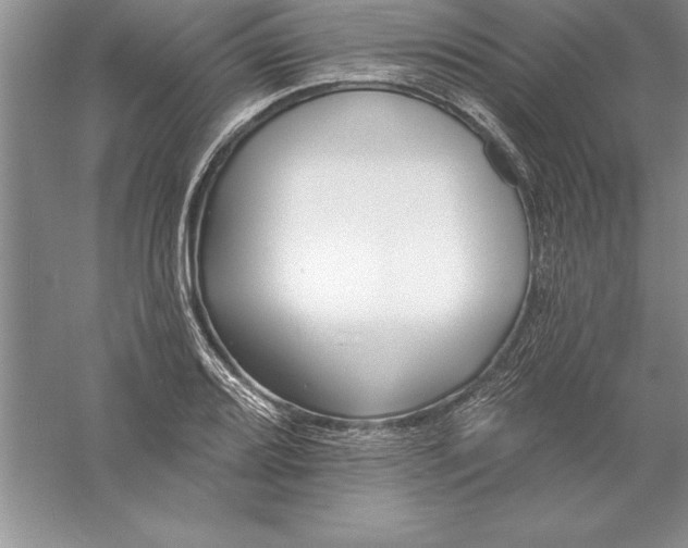 X0000055991080200509092013