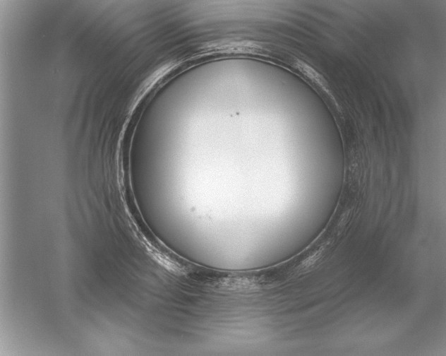 X0000055991082200509092013