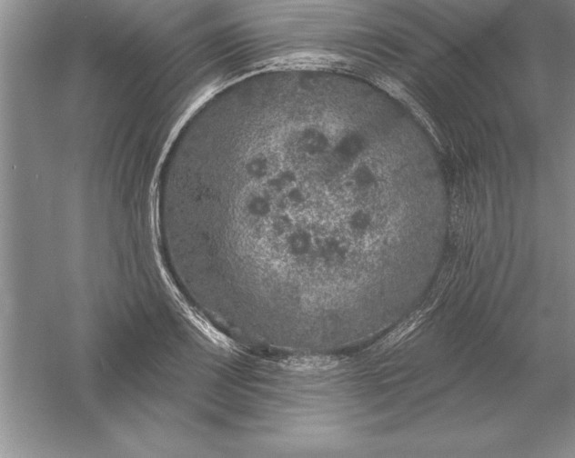 X0000055991083200509092013